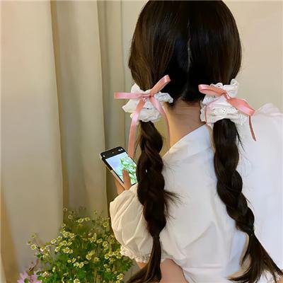 盗贼生涯